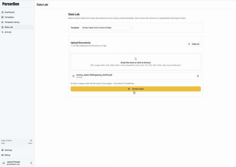 ParserBee invoice OCR software extracting header fields and line items from a real invoice in real time
